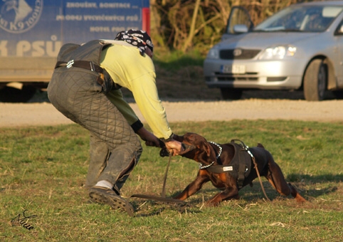 Training in Prague 3/2007